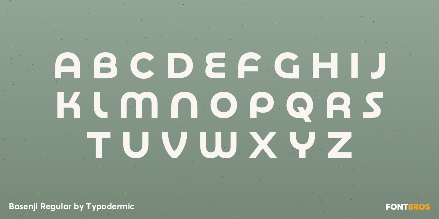 Basenji Regular Font Poster #1