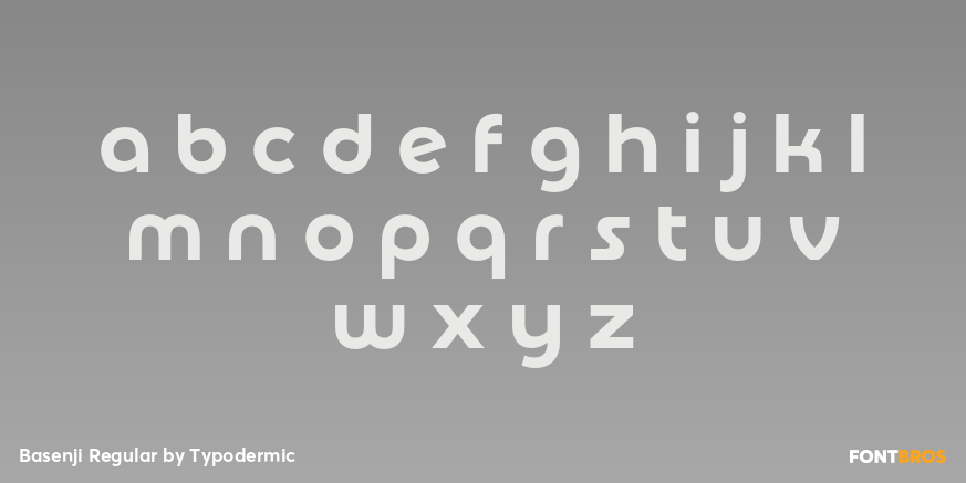 Basenji Regular Font Poster #1