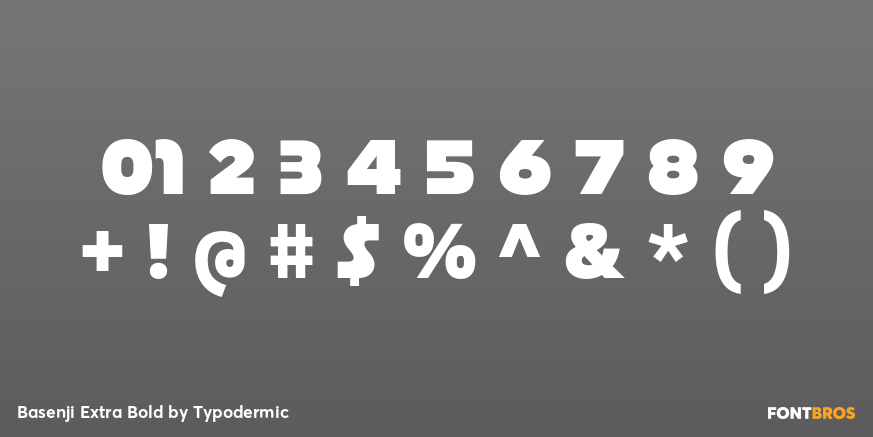 Basenji Extra Bold Font Poster #4