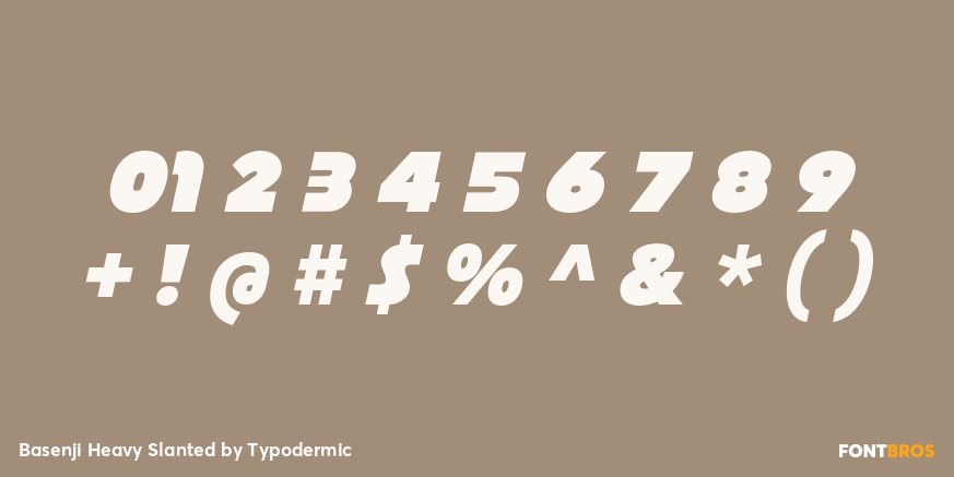 Basenji Heavy Slanted Font Poster #1