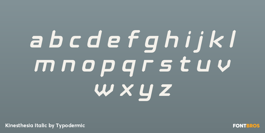 Kinesthesia Italic Font Poster #3