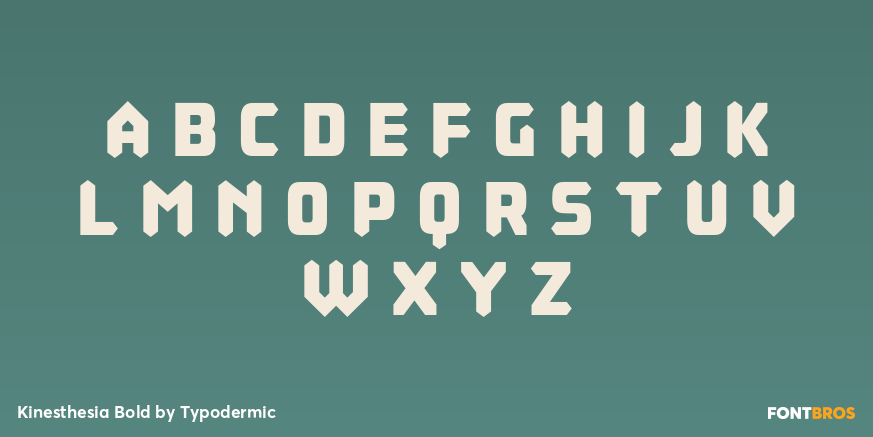Kinesthesia Bold Font Poster #2