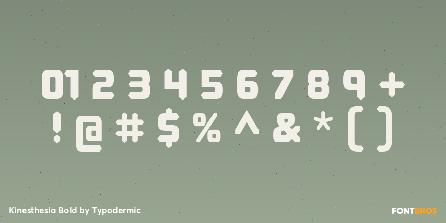 Kinesthesia Bold Font Poster #4