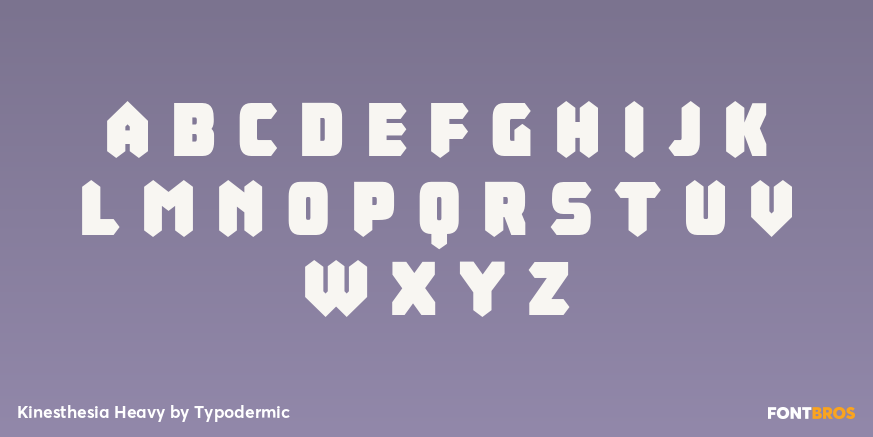 Kinesthesia Heavy Font Poster #2
