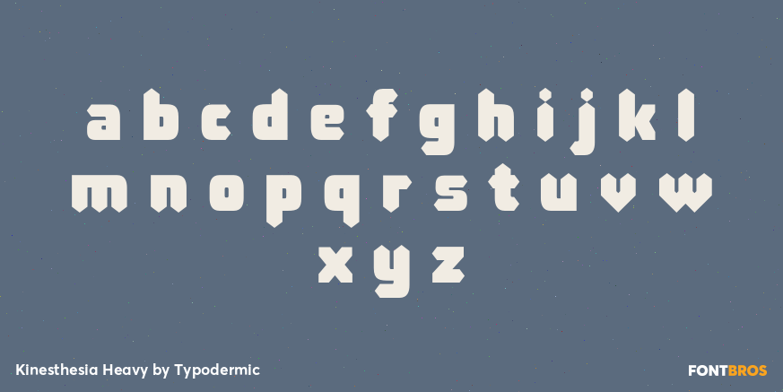 Kinesthesia Heavy Font Poster #3