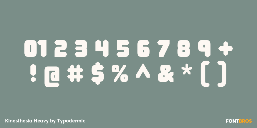 Kinesthesia Heavy Font Poster #4