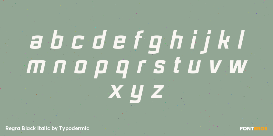 Regra Black Italic Font Poster #3
