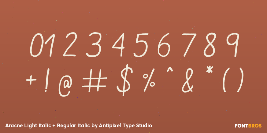 Aracne Light Italic + Regular Italic Font Poster #4