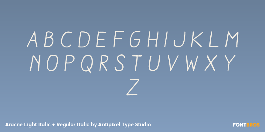 Aracne Light Italic + Regular Italic Font Poster #2