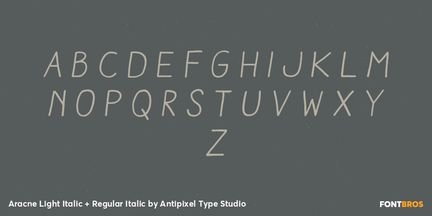 Aracne Light Italic + Regular Italic Font Poster #3
