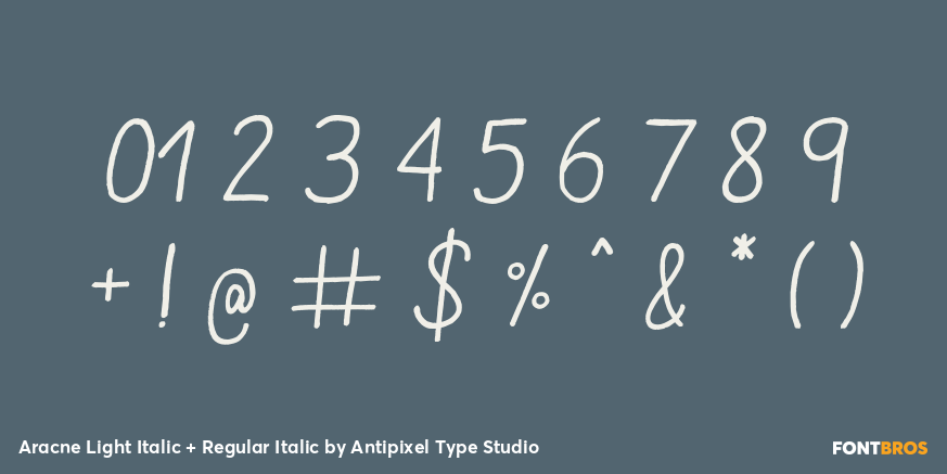 Aracne Light Italic + Regular Italic Font Poster #4