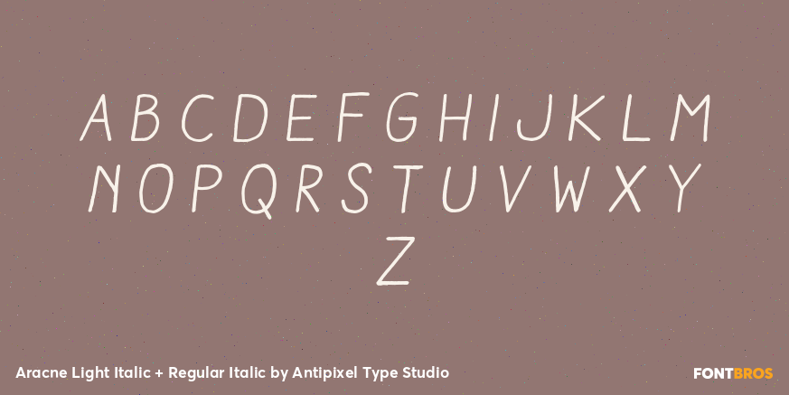 Aracne Light Italic + Regular Italic Font Poster #3