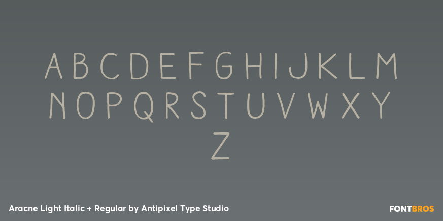 Aracne Light Italic + Regular Font Poster #3
