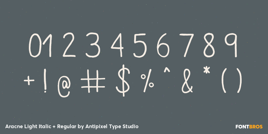 Aracne Light Italic + Regular Font Poster #4