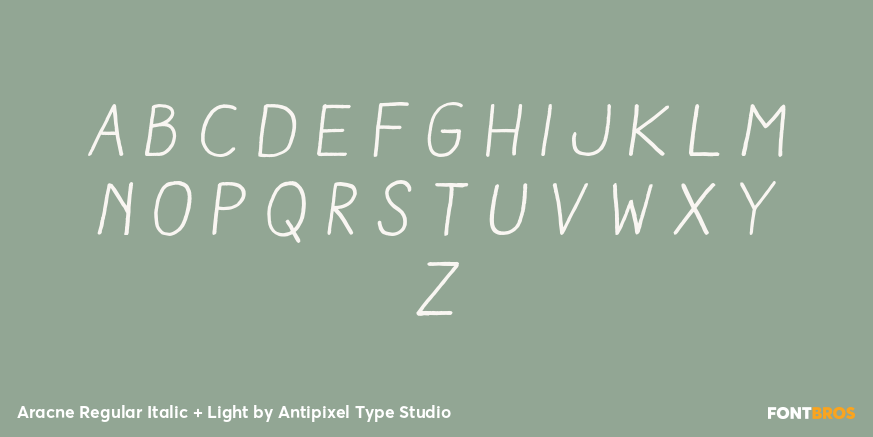 Aracne Regular Italic + Light Font Poster #2