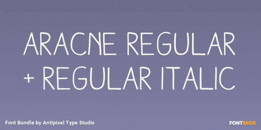 Aracne Regular + Regular Italic Poster