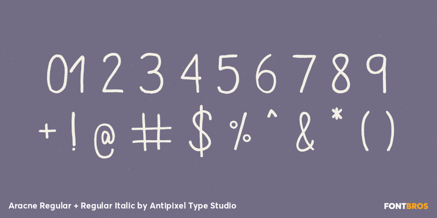 Aracne Regular + Regular Italic Font Poster #4