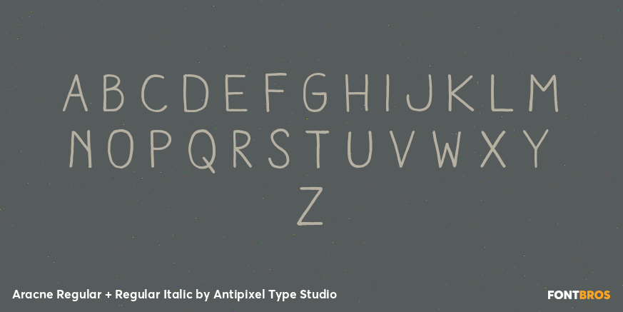 Aracne Regular + Regular Italic Font Poster #3