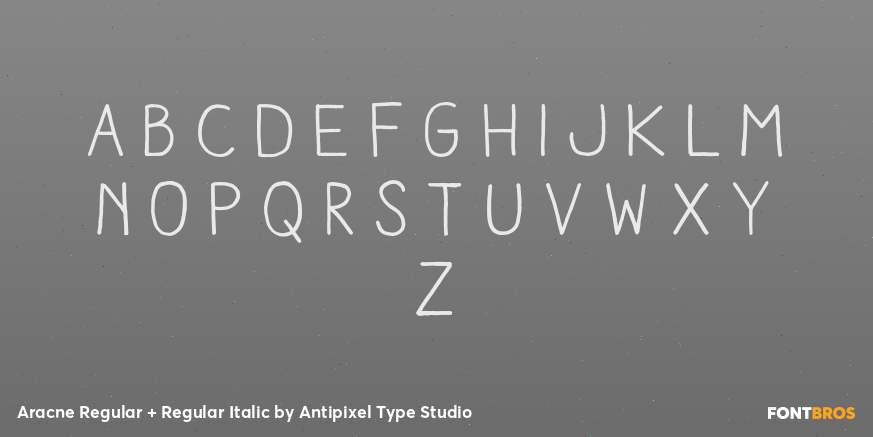 Aracne Regular + Regular Italic Font Poster #3