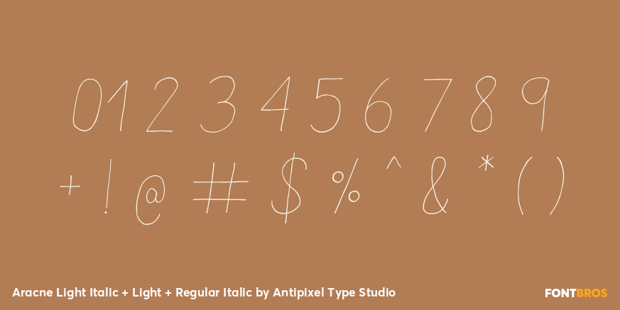 Aracne Light Italic + Light + Regular Italic Font Poster #4