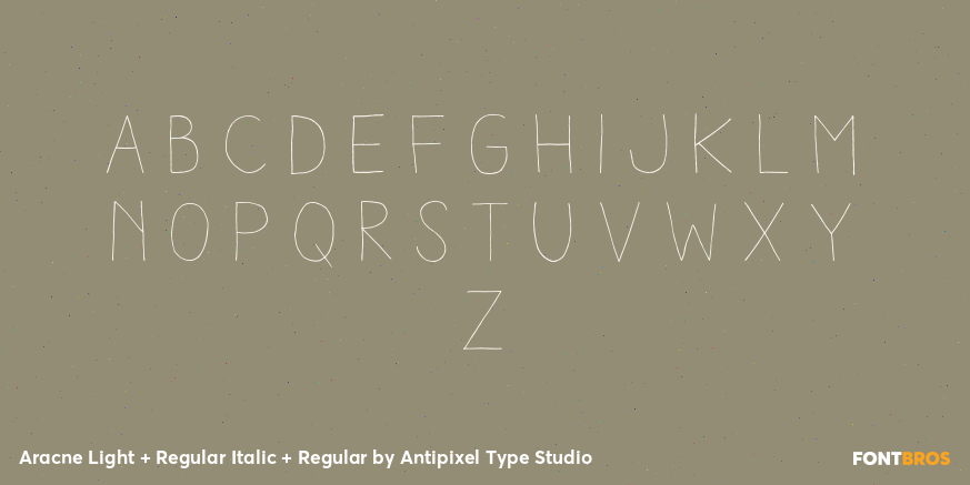 Aracne Light + Regular Italic + Regular Font Poster #2