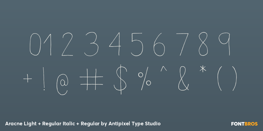 Aracne Light + Regular Italic + Regular Font Poster #4