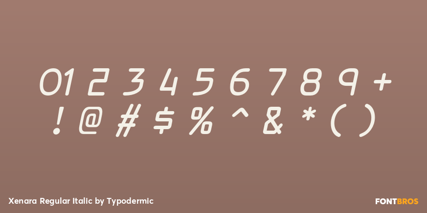 Xenara Regular Italic Font Poster #1