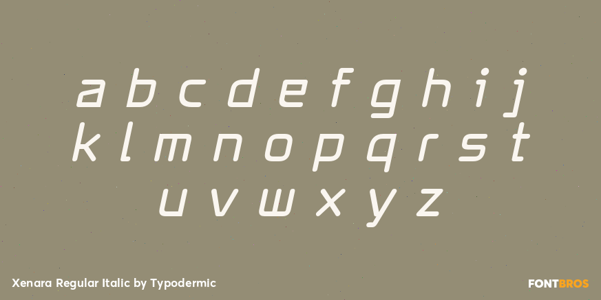 Xenara Regular Italic Font Poster #3