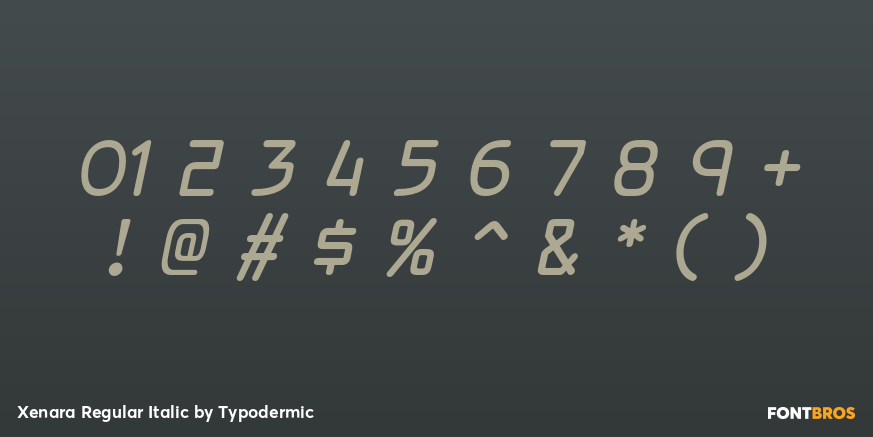 Xenara Regular Italic Font Poster #4