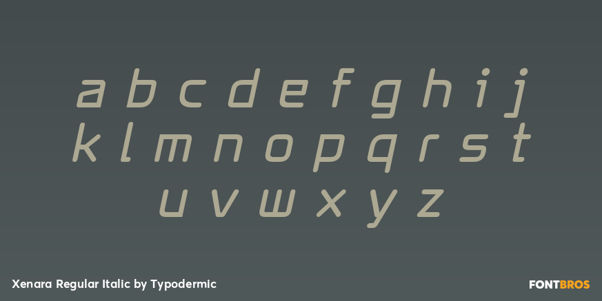 Xenara Regular Italic Font Poster #1
