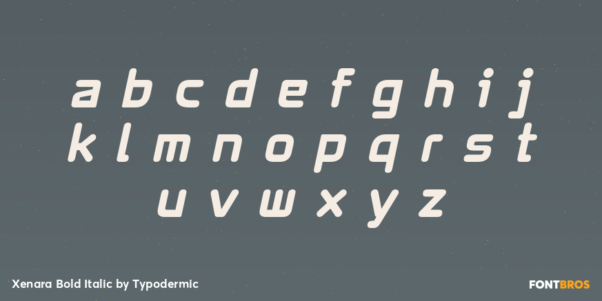 Xenara Bold Italic Font Poster #3