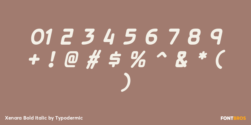 Xenara Bold Italic Font Poster #4
