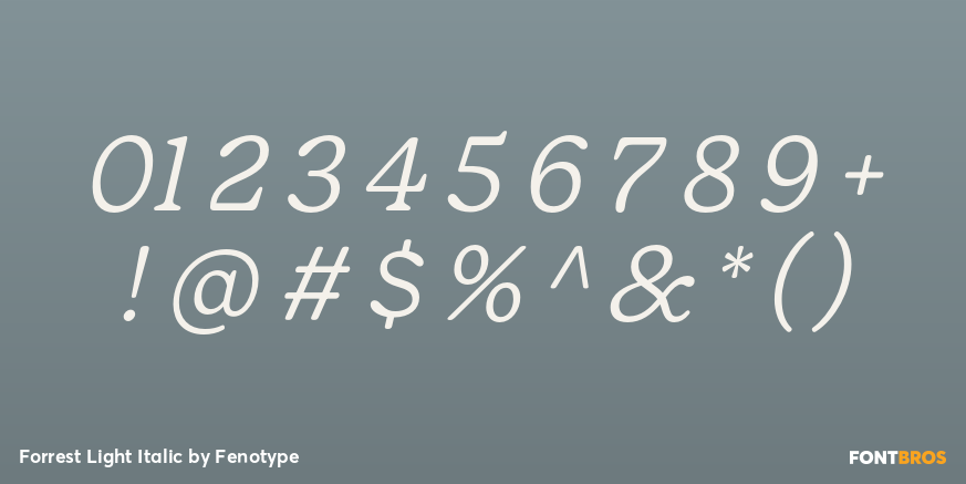 Forrest Light Italic Font Poster #1