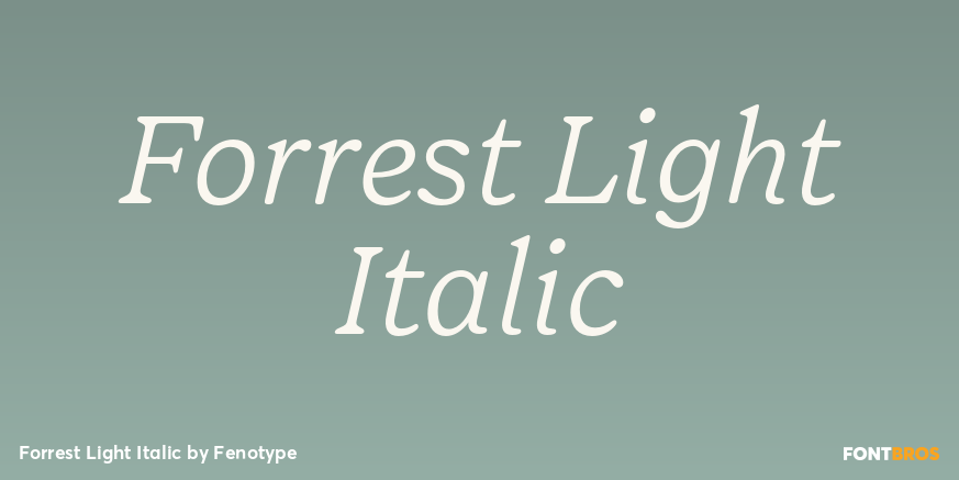 Forrest Light Italic Poster