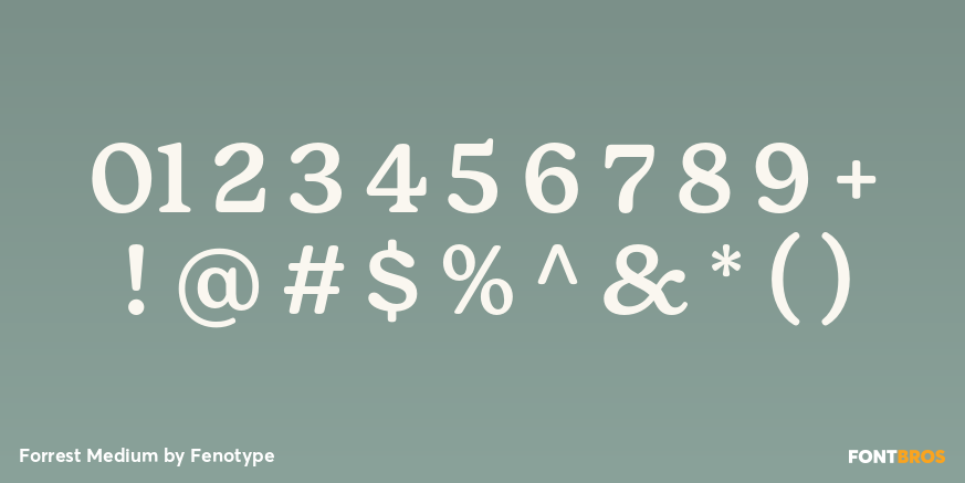Forrest Medium Font Poster #1
