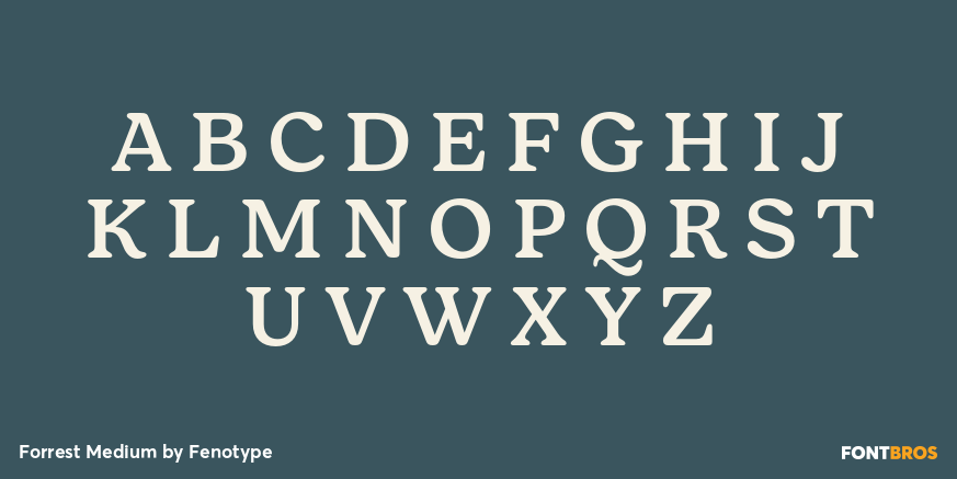 Forrest Medium Font Poster #2