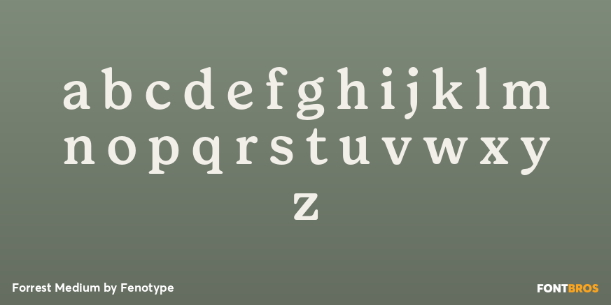 Forrest Medium Font Poster #3