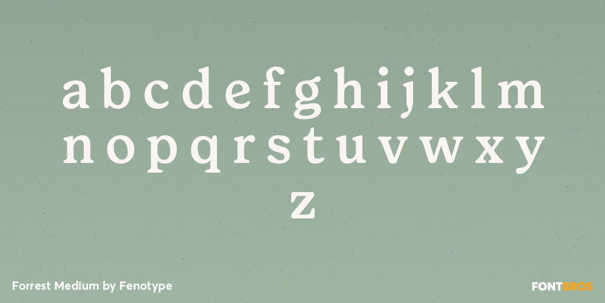 Forrest Medium Font Poster #1