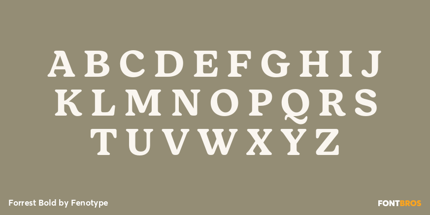 Forrest Bold Font Poster #2