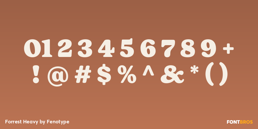 Forrest Heavy Font Poster #4