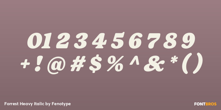 Forrest Heavy Italic Font Poster #1