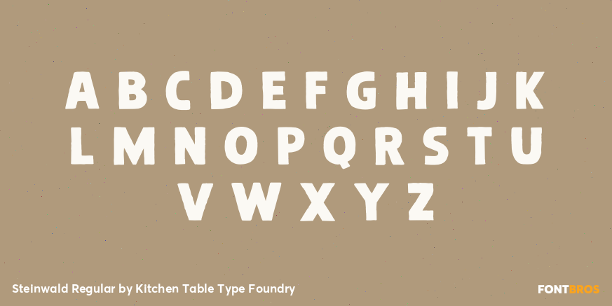 Steinwald Regular Font Poster #3