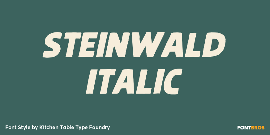 Steinwald Italic Poster