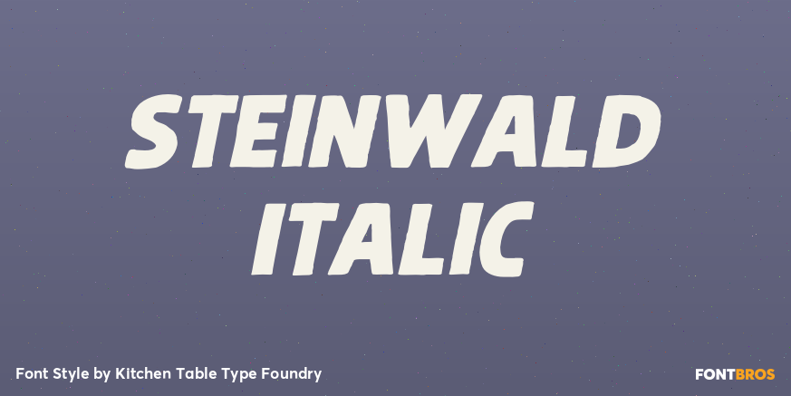 Steinwald Italic Poster