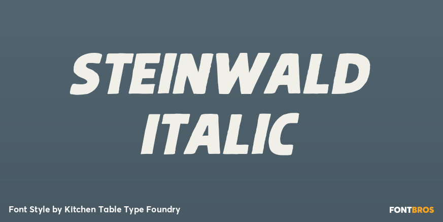 Steinwald Italic Poster