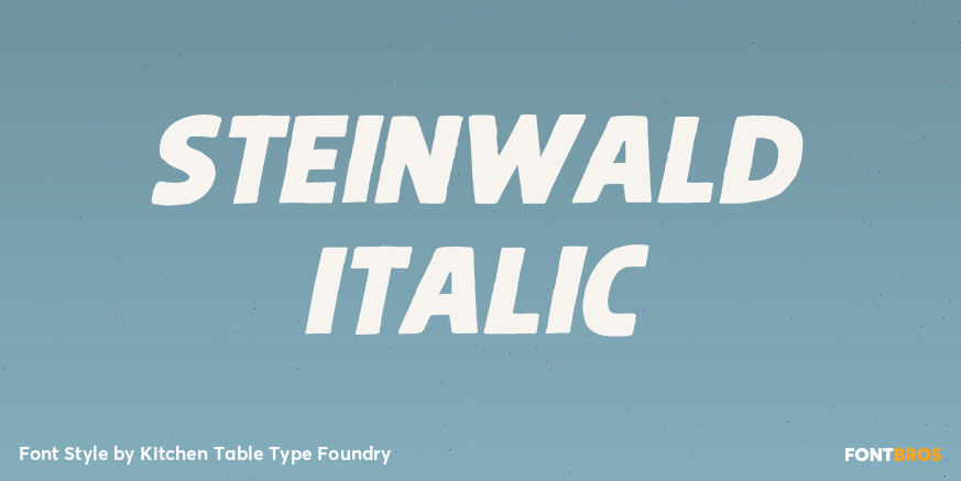 Steinwald Italic Poster