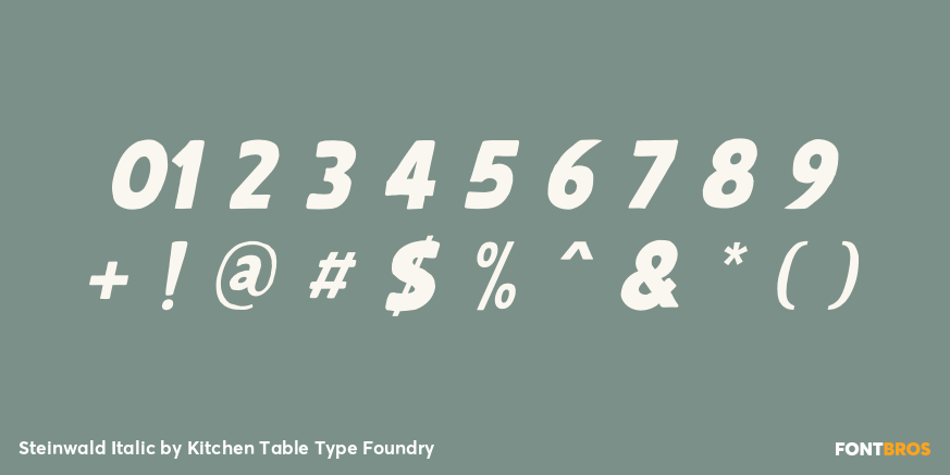 Steinwald Italic Font Poster #4