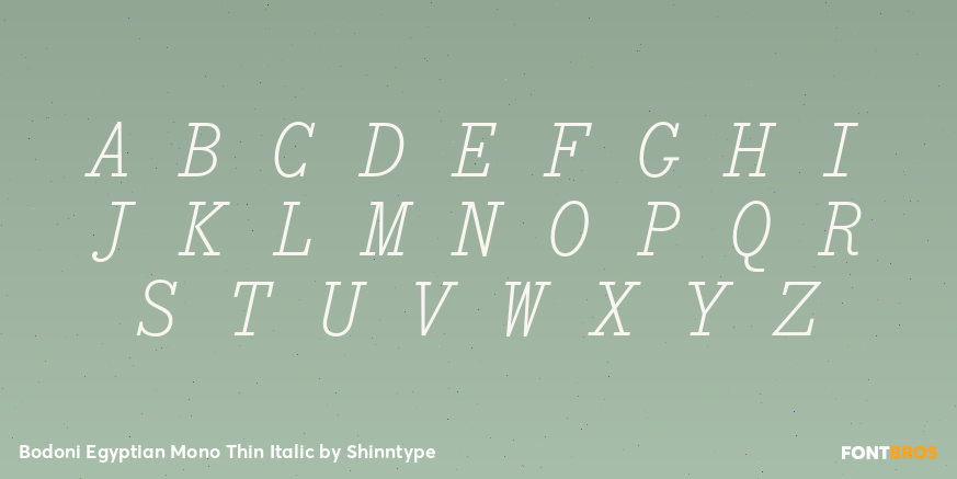 Bodoni Egyptian Mono Thin Italic Font Poster #2