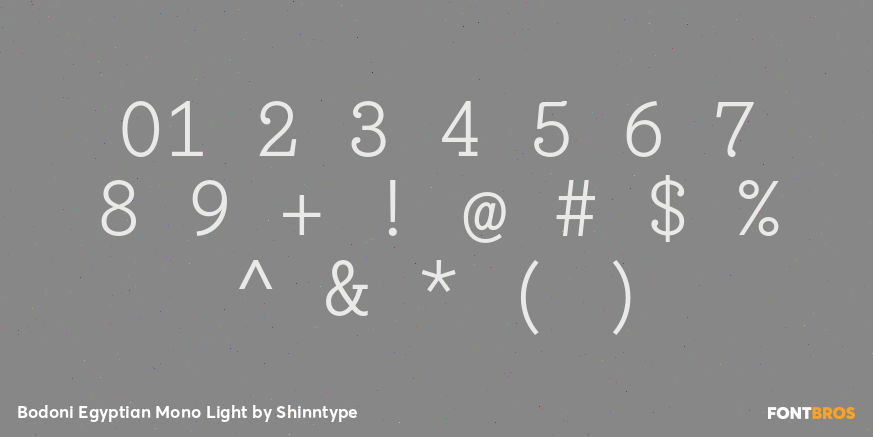 Bodoni Egyptian Mono Light Font Poster #4