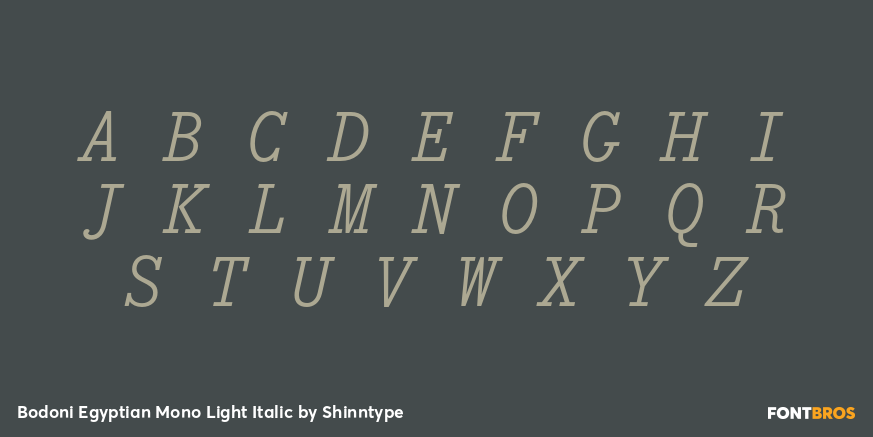 Bodoni Egyptian Mono Light Italic Font Poster #1